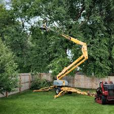 Grass Overseeding in Cranford, NJ